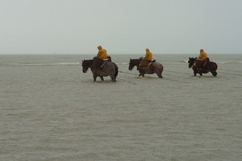 Garnaalvissers in de regen